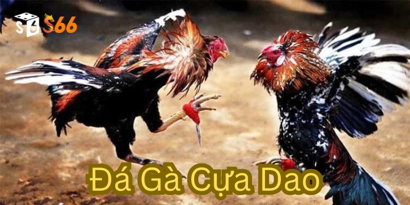 Định nghĩa Đá Gà Cựa Dao
