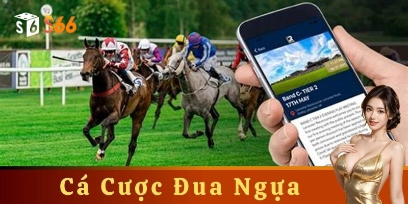 Mẹo và chiến lược cá cược đua ngựa