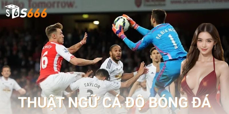  Các thuật ngữ về kèo bóng đá