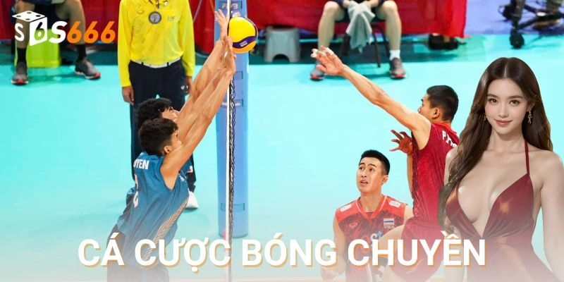 Những lưu ý thực tế từ các giải đấu