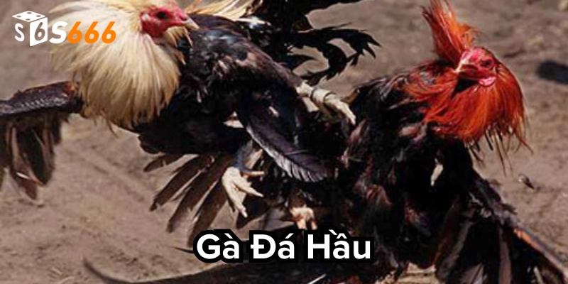 Mẹo tăng tỷ lệ thắng